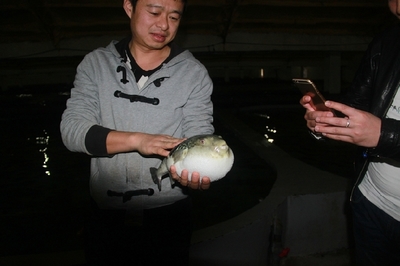 大連啟航“海魚陸養”保險，海水養殖技術研發迎來新機遇