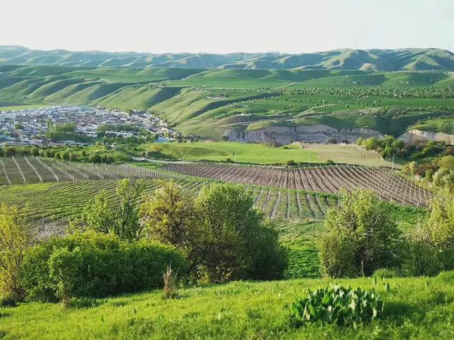 斬獲2024 CMB 10枚大獎，絲路酒莊彰顯國產葡萄酒強勁發展勢頭